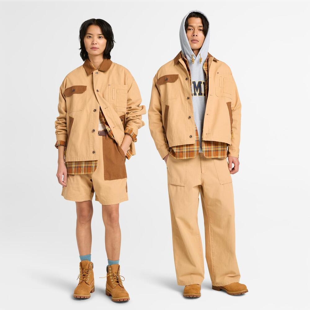 【SALE】TDCコレクション